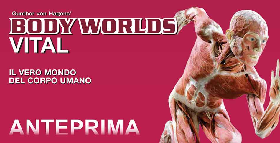 Mostra Body Worlds Vital Palermo